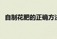 自制花肥的正確方法（如何自己制作花肥）