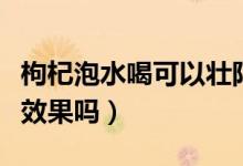 枸杞泡水喝可以壯陽嗎(枸杞泡水喝對(duì)壯陽有效果嗎)