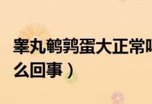 睪丸鵪鶉蛋大正常嗎（睪丸只有鵪鶉蛋大小怎么回事）