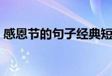 感恩節(jié)的句子經(jīng)典短語（關(guān)于感恩節(jié)的短句）