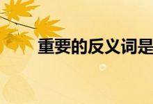 重要的反義詞是啥（重要的反義詞）