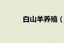 白山羊養(yǎng)殖（大家可以看一看）