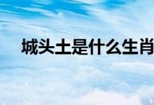 城頭土是什么生肖（城頭土是什么意思）