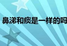 鼻涕和痰是一樣的嗎（鼻涕和痰是一回事嗎）