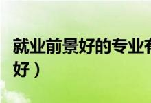 就業(yè)前景好的專業(yè)有哪些(什么專業(yè)就業(yè)前景好)