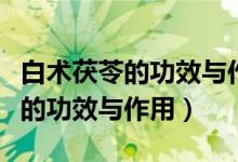 白術茯苓的功效與作用及食用方法(白術茯苓的功效與作用)
