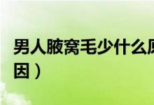 男人腋窩毛少什么原因（腋毛少的男人什么原因）