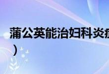 蒲公英能治婦科炎癥么（蒲公英能治婦科病嗎）