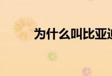 為什么叫比亞迪（為什么叫追龍）