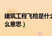 建筑工程飛檢是什么意思（建筑工程飛檢是什么意思）