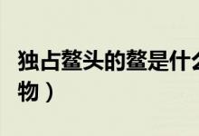 獨占鰲頭的鰲是什么（獨占鰲頭的鰲是什么動物）