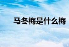 馬冬梅是什么梅（馬冬梅是什么電影）