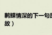 鶼鰈情深的下一句是什么（鶼鰈情深出于何典故）