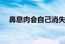 鼻息肉會自己消失（鼻息肉會自己好嗎）