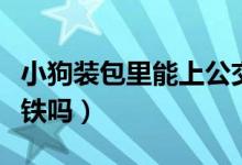 小狗裝包里能上公交車嗎(小狗裝包里能上地鐵嗎)