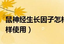 鼠神經(jīng)生長因子怎樣注射（鼠神經(jīng)生長因子怎樣使用）
