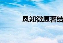 鳳知微原著結(jié)局（鳳知微結(jié)局）