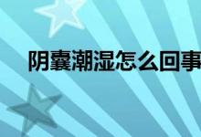 陰囊潮濕怎么回事（陰囊潮濕怎么改善）