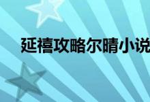 延禧攻略爾晴小說（延禧攻略爾晴結(jié)局）