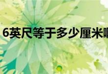 6英尺等于多少厘米?。?英尺等于多少厘米）