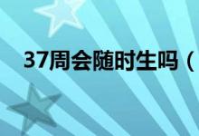 37周會隨時(shí)生嗎（37周是不是隨時(shí)會生）