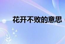 花開不敗的意思(花開不敗什么意思)