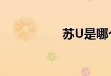 蘇U是哪個地方的車牌