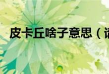 皮卡丘啥子意思（請(qǐng)問(wèn)皮卡丘是什么意思）