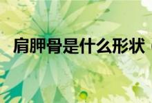 肩胛骨是什么形狀（肩胛骨是什么骨類型）