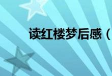 讀紅樓夢后感（紅樓夢后感400字）