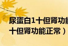 尿蛋白1十但腎功能正常說明什么（尿蛋白1十但腎功能正常）