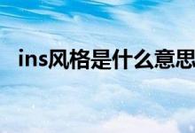 ins風(fēng)格是什么意思（ins風(fēng)格是什么意思）