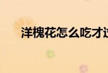 洋槐花怎么吃才過癮（洋槐花怎么吃）