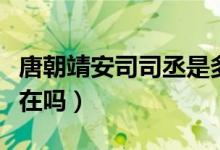 唐朝靖安司司丞是多大的官職（唐朝靖安司存在嗎）