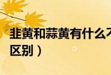 韭黃和蒜黃有什么不一樣（韭黃和蒜黃有什么區(qū)別）