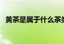黃茶是屬于什么茶類（黃茶是屬于什么茶）