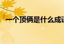 一個(gè)頂倆是什么成語(yǔ)（一個(gè)頂倆是什么梗）