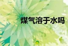 煤氣溶于水嗎（煤氣會溶于水嗎）