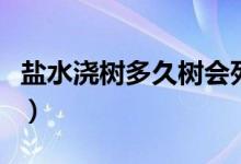 鹽水澆樹多久樹會死（一包鹽水澆樹多久會死）