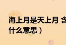 海上月是天上月 含義(備注海上月是天上月什么意思)