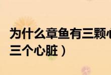 為什么章魚(yú)有三顆心九個(gè)大腦（為什么章魚(yú)有三個(gè)心臟）