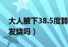大人腋下38.5度算發(fā)燒嗎（大人腋下38度算發(fā)燒嗎）