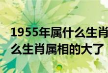 1955年屬什么生肖屬相的大了（1953年屬什么生肖屬相的大了）