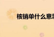 核銷單什么意思（hxd什么意思）