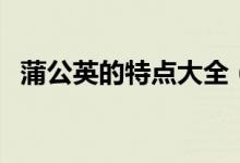蒲公英的特點大全（蒲公英的特點是什么）