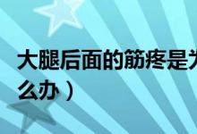 大腿后面的筋疼是為什么（大腿后面的筋疼怎么辦）