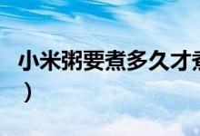 小米粥要煮多久才煮熟（小米粥要煮多長(zhǎng)時(shí)間）