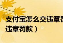 支付寶怎么交違章罰款給別人（支付寶怎么交違章罰款）