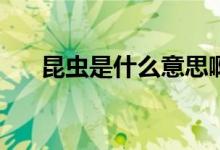 昆蟲(chóng)是什么意思?。╧c是什么意思?。?class=