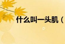 什么叫一頭?。ㄒ活^肌是哪個部位）